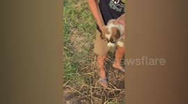 Dramatic moment teenagers rescue puppy buried 3ft underground