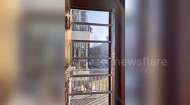 Quarantined Chinese resident walks dog from first-floor balcony; reels it back up with leash when finished