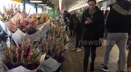 Valentine's Day in Seattle