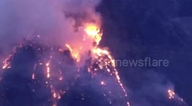 Massive fire erupts in forest of North India, rare flora and fauna destroyed, damage incurred