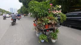 The most mind-boggling stuff people carry on their motorcycles in Vietnam