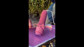 US man goes viral on TikTok for oddly satisfying paint roller cleaning clips