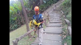 Thai climber rescues hapless dog stuck on 260ft high waterfall