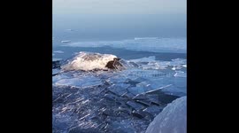 Ice arrives on the shoreline