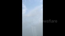 Locusts swarm skies of Saudi Arabian city