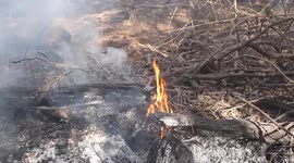 Forest Wild Fire is controlled by firefighters in the jungles of Peten
