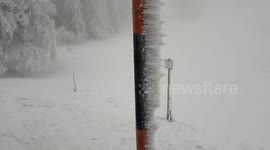Winds of up to 70kmh leave thick rime ice on poles and trees in Germany