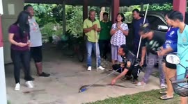 Thai housewife fights off king cobra by spraying mosquito repellent in its eyes