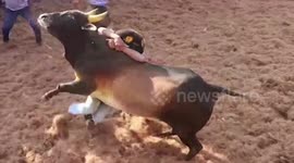 Traditional bull-taming sport Jallikattu leaves 21 injured in southern India