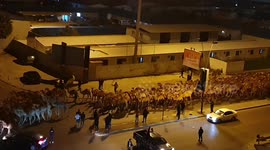 3,000 camels evacuated from Tripoli port after area comes under artillery fire