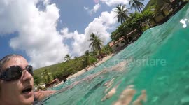 Snorkeling with sea turtles at Anse Dufour Martinique, Caribbean island