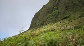 Beautiful nature on Mount Pelée volcano at the northern end of Martinique island in Caribbean sea.