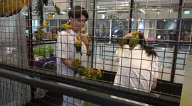 Youngsters stand in cage full of hundreds of parrots