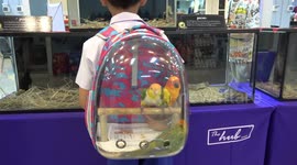 Schoolboy carries his pet birds in special backpack