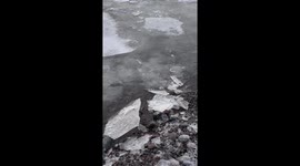 The lake breathes in and breathes out