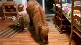 Little girl enjoys quality time with her miniature horse