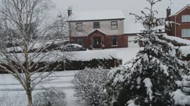 Snow hits parts of Northern Ireland as yellow weather warning issued