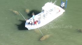Florida boat captain appears to harass manatees