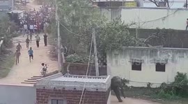 WATCH: Tusker strays into residential area, breaks concrete wall in eastern India