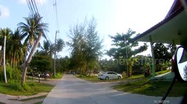 Parrots Ride On French Tourist's Motorcycle