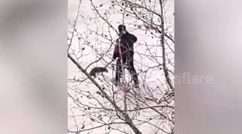 Property management employee beats pet dogs to death amid COVID-19 outbreak