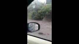 Fallen trees and flooded roads block Colombian motorists