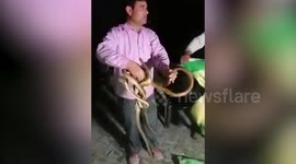 ELEVEN snakes rescued from construction site in northern India