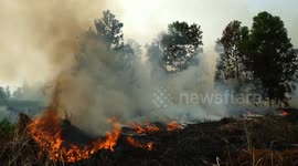 Emergency crews tackle forest and land fires as dry season begins in Indonesia