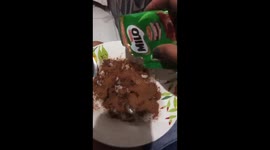 Milo my nephew most favorite ever