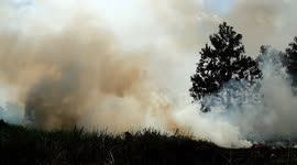 Peatland fire in Riau, Indonesia