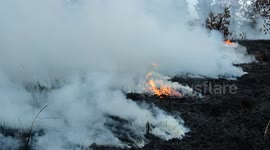 Peatland fire in Riau, Indonesia