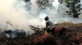 Peatland fire in Riau, Indonesia