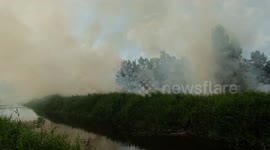 Peatland fire in Riau, Indonesia