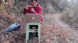 Chinese teacher hikes up mountain in search of signal so she can live stream lessons for students during COVID-19 outbreak