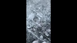 Amazing natural phenomenon as methane is trapped in frozen Canadian lake
