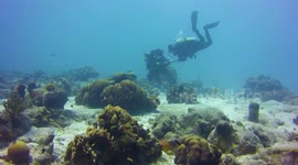 Touching moment man proposes to his girlfriend 30ft underwater in the Caribbean