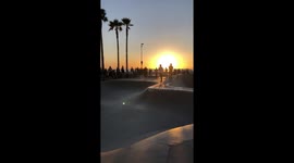 Venice Beach Skate Park