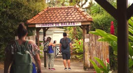 Jardin De Balata Martinique island