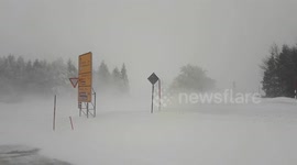 Blizzard conditions as Storm Bianca brings snow and heavy winds to Germany