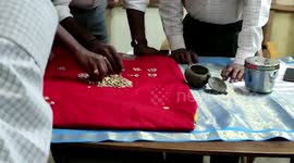 TREASURE HUNT: Over 500 gold coins worth $89,802 found during excavation at 1800-year-old temple in Southern India