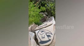 Russian tourist sparks anger after spraying painting on Thai beach rock