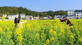 Tourists visit blooming rapeseed flowers after the scenic spot reopens in China