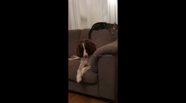 Hes behind you