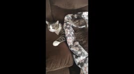 Cat cuddles her friend
