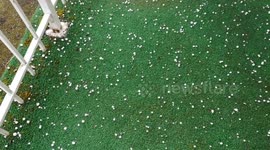 Freak hailstorm hits Vancouver Island in Canada
