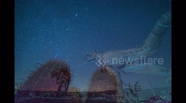 Timelapse of the Milky Way over Giant Metal Dinosaur sculptures in Borrego Springs