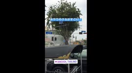 The world's wildest way of watering?