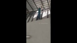 Python Caught In Family's Roof