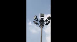 Squirrel Fights Crow On Lamppost
