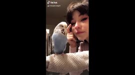 punk bird tries on false eyelashes